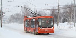 Пермяки создали две петиции против ликвидации троллейбусного сообщения
