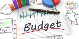 Бюджет принят в первом чтении